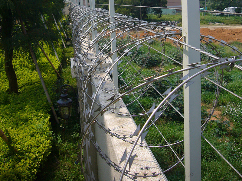 50cm加拉力電子圍籬