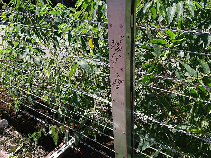 固定保養